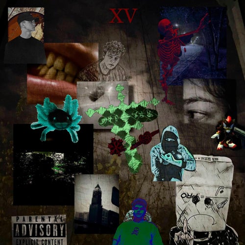 XV
