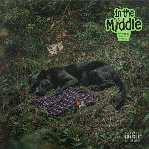 Release of the week