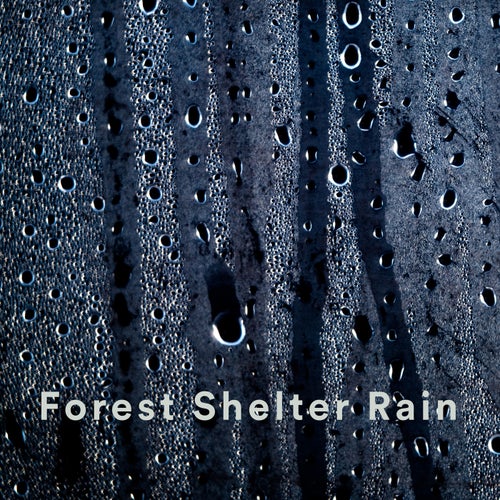 Forest Shelter Rain