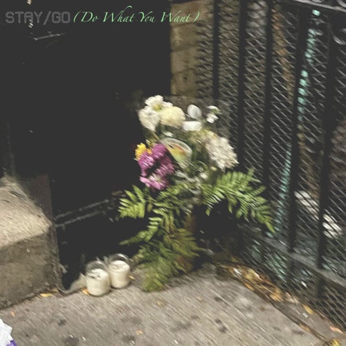 STAY/GO (Do What You Want)