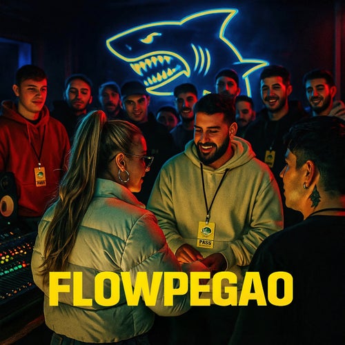 Release of the week