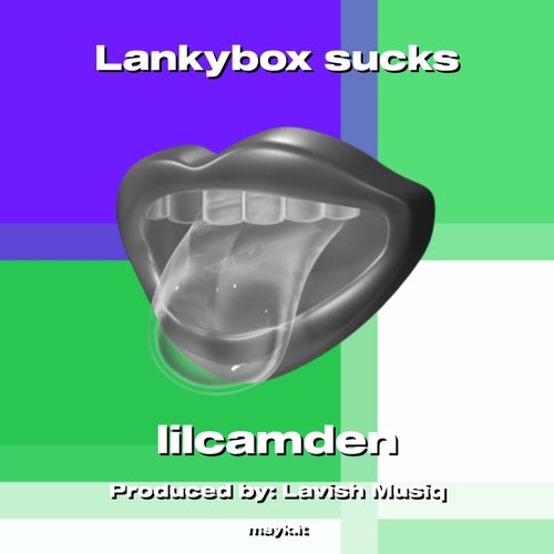 Lankybox s****