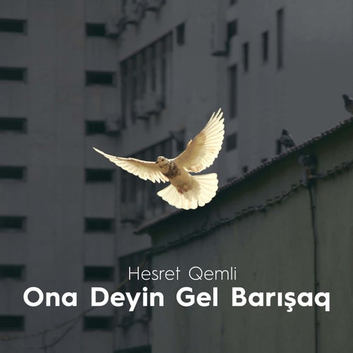 Ona Deyin Gel Barışaq