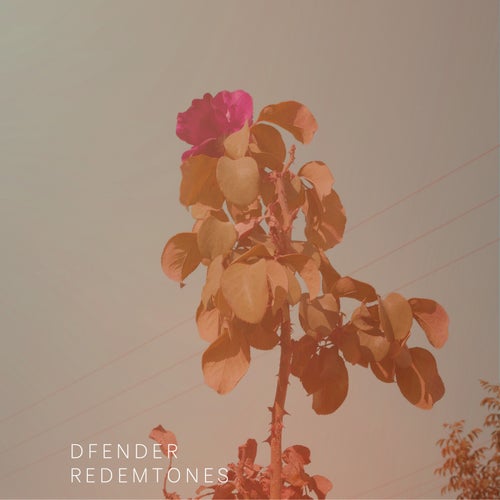 Redemtones