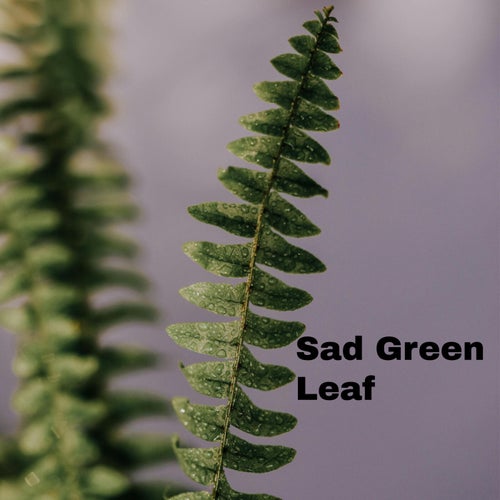 Sad Green Leaf