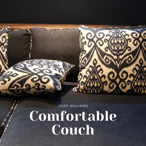 Comfortable Couch