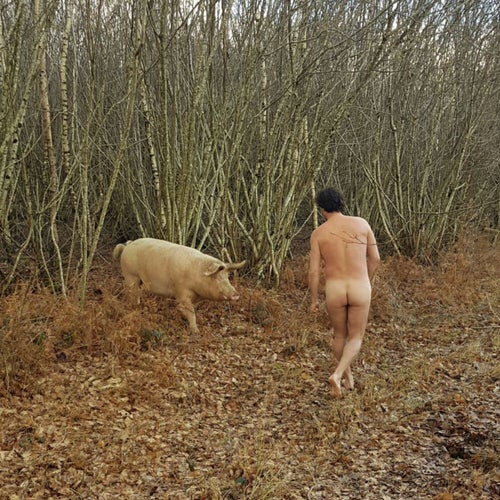 La Limite