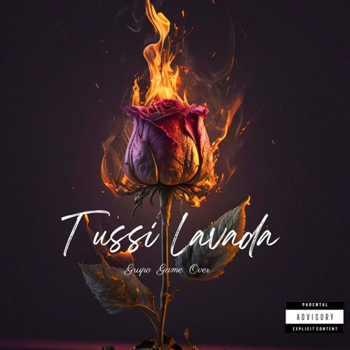 Tussi Lavada