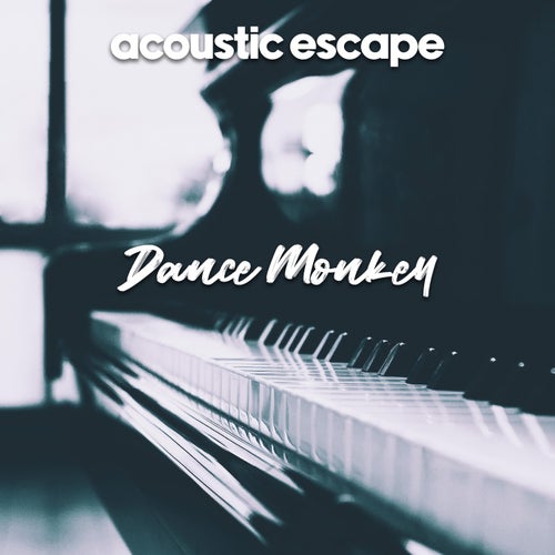 Dance Monkey
