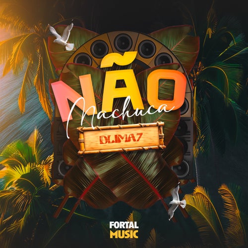 Não Machuca (Remix)