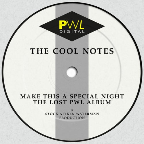 Make This a Special Night (The Lost PWL Album)
