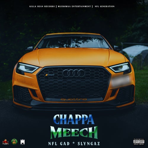 Chappa Meech