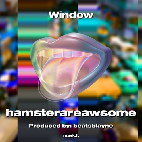 Window