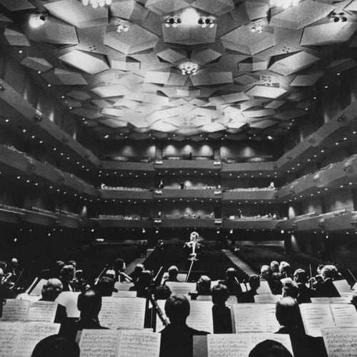 Jinni's Orchestra