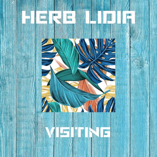 Visiting