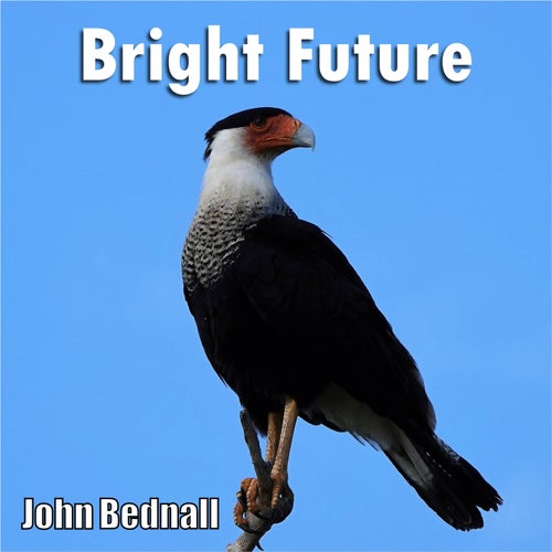 Bright Future