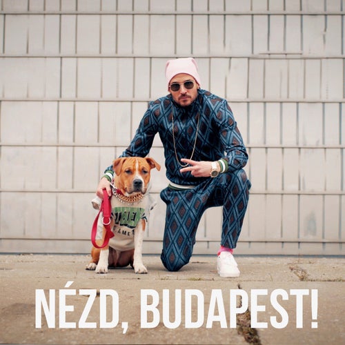 Nézd, Budapest!