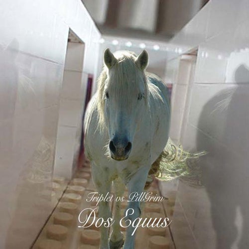 Dos Equus