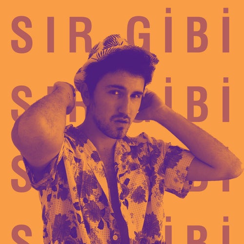 Sır Gibi