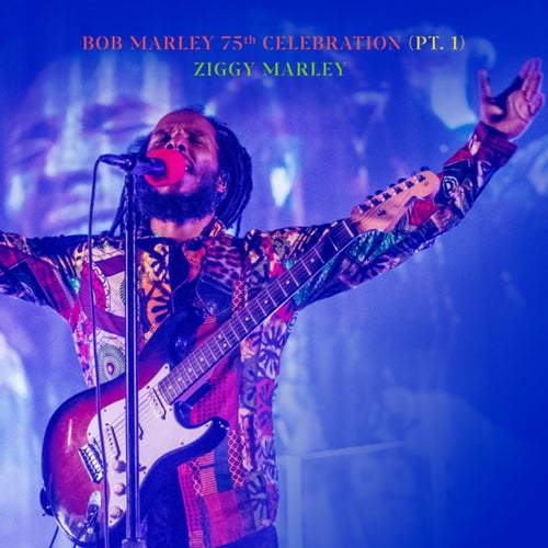 Bob Marley 75th Celebration (Pt.1)