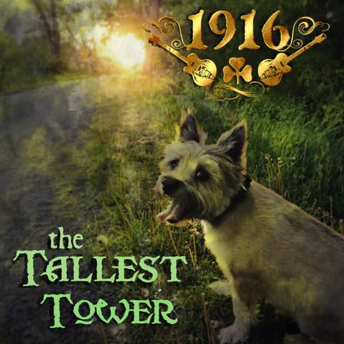 Tallest Tower