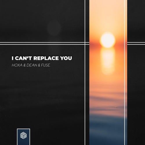 I Can't Replace You