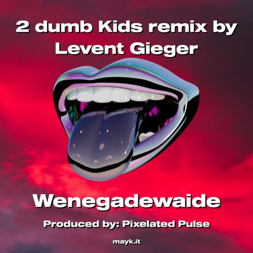 2 dumb Kids remix by Levent Gieger