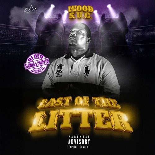 Last of The Litter (Slowed & Chopped)