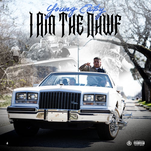 Release of the week