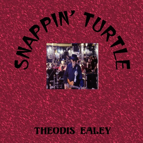 Snappin' Turtle