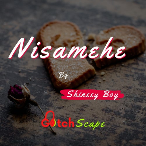Nisamehe