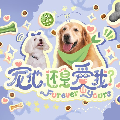 新传媒电视剧《Furever Yours 宠他，还是爱我》电视剧原声带