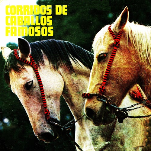 Corridos de caballos famosos