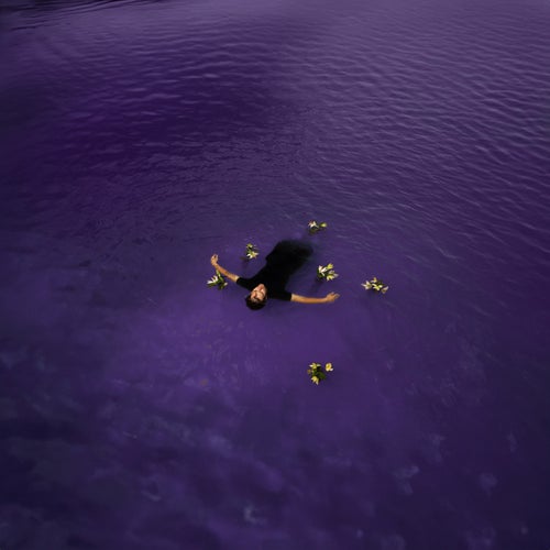 Violets From Lily