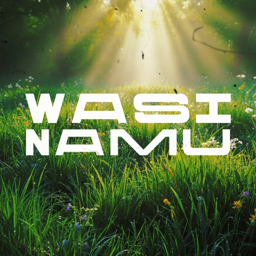 Wasi Namu