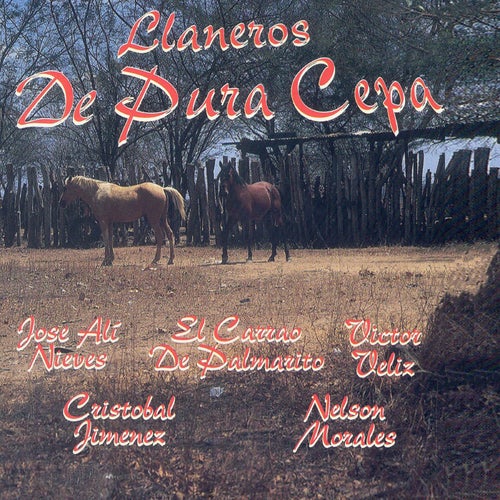 Llaneros De Pura Cepa