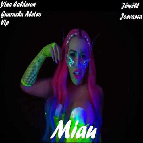 Miau (Original Mix) (feat. Vip, Aleteo Vip HD, VALORANT) & VALORANT