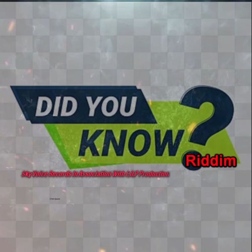 Did You Know Riddim