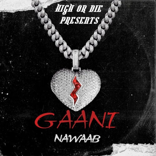 Gaani