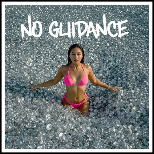 NO GUIDANCE