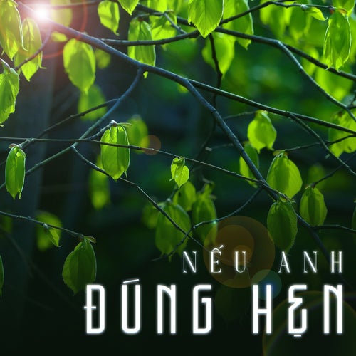 Nếu Anh Đừng Hẹn