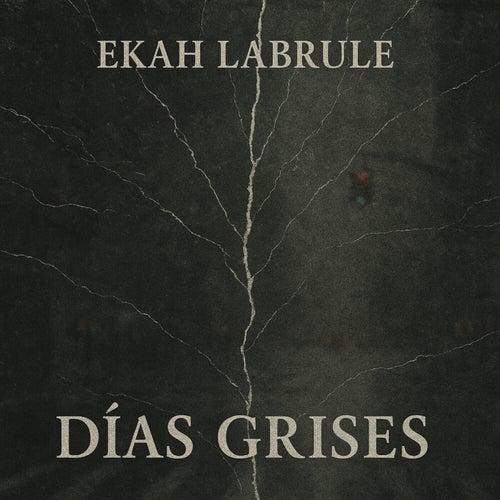 Dias grises