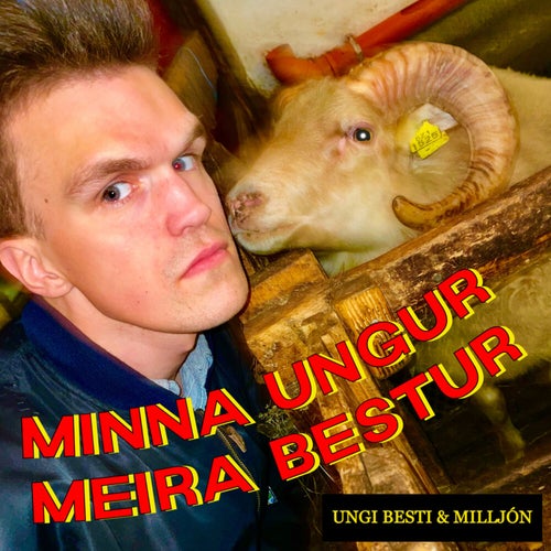 Minna Ungur Meira Bestur