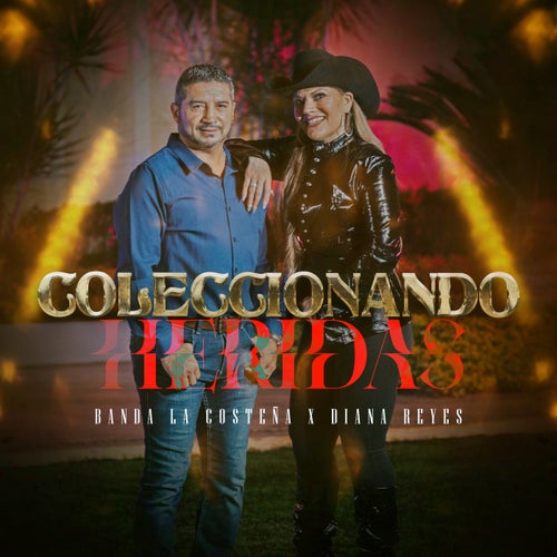 Coleccionando Heridas
