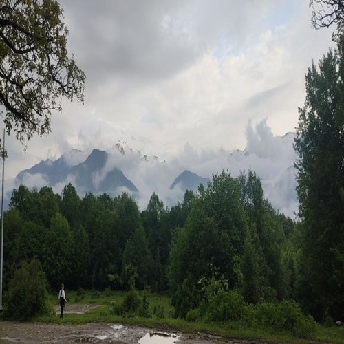 следует забыть