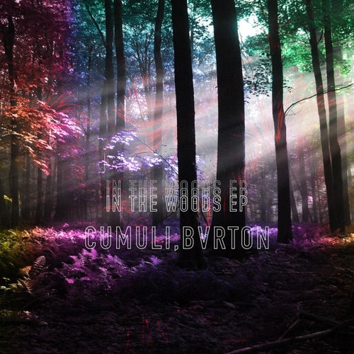 In the Woods EP