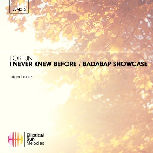 I never Knew Before / Badabap Showcase EP