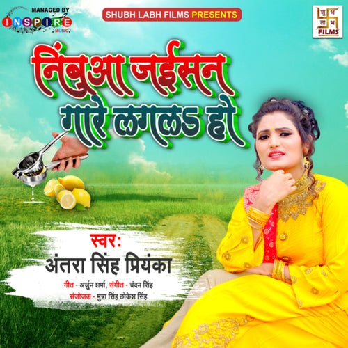 Nimbua Jaise Gare Lagla Ho