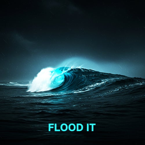 FLOOD IT