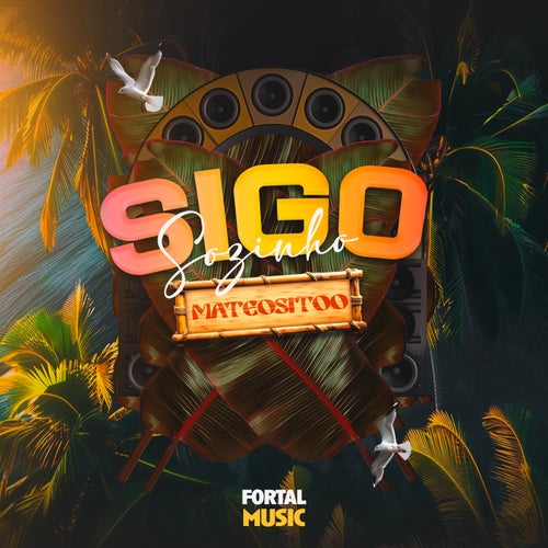 Sigo Sozinho (Remix)